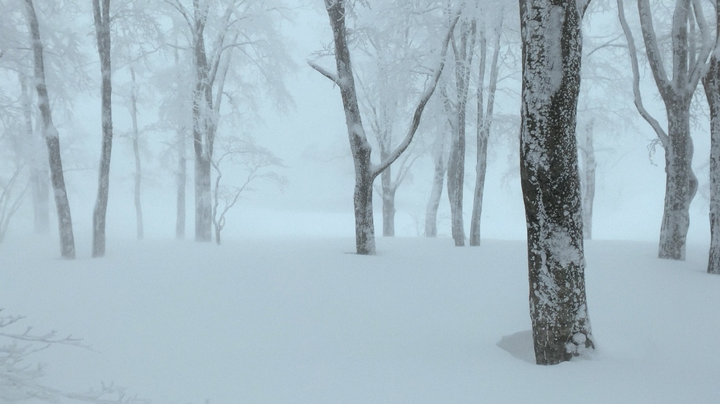 Making of Nutcracker, кадр 5