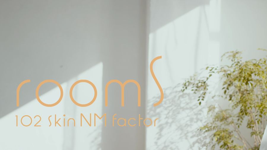 RoomS 102 - Skin NM Factor, кадр 2